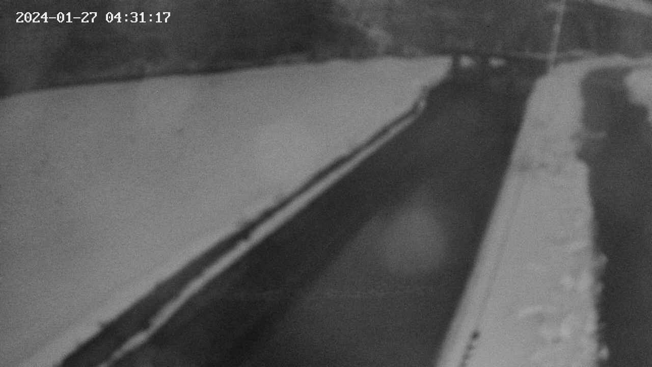 area9-20240127043118.jpg