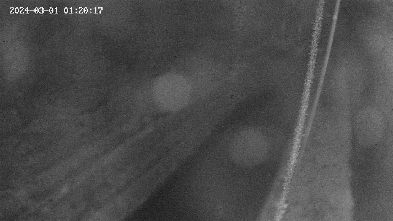 area9-20240301012018.jpg