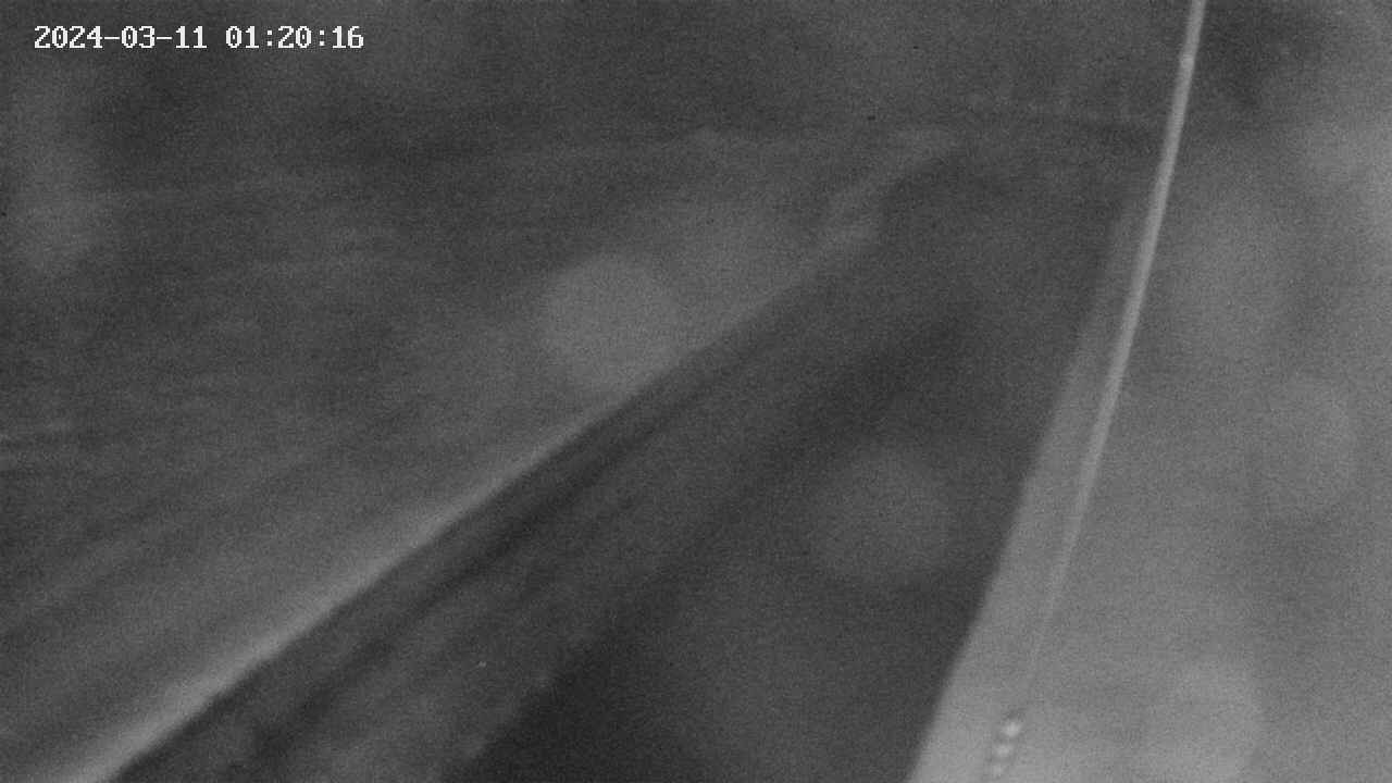 area9-20240311012017.jpg