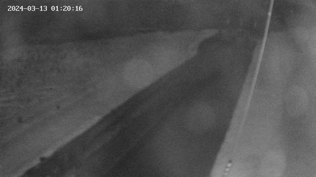 area9-20240313012017.jpg