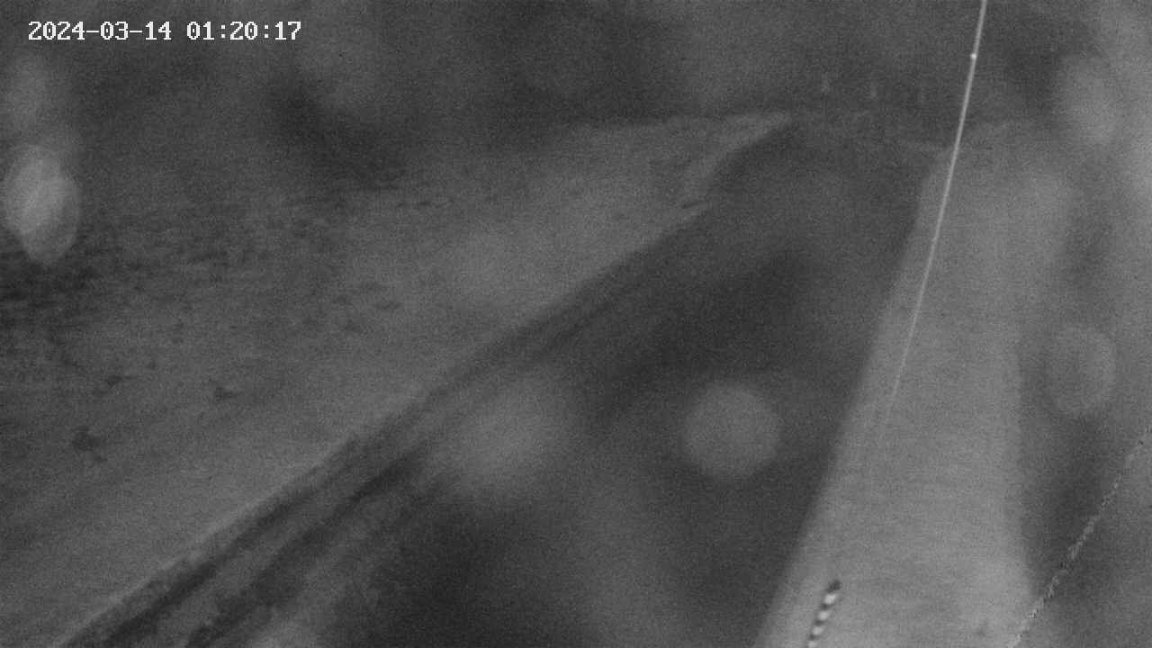 area9-20240314012018.jpg