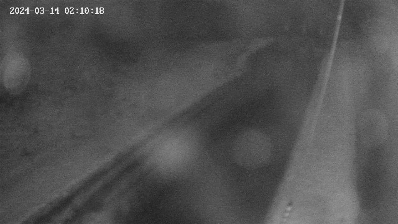 area9-20240314021018.jpg