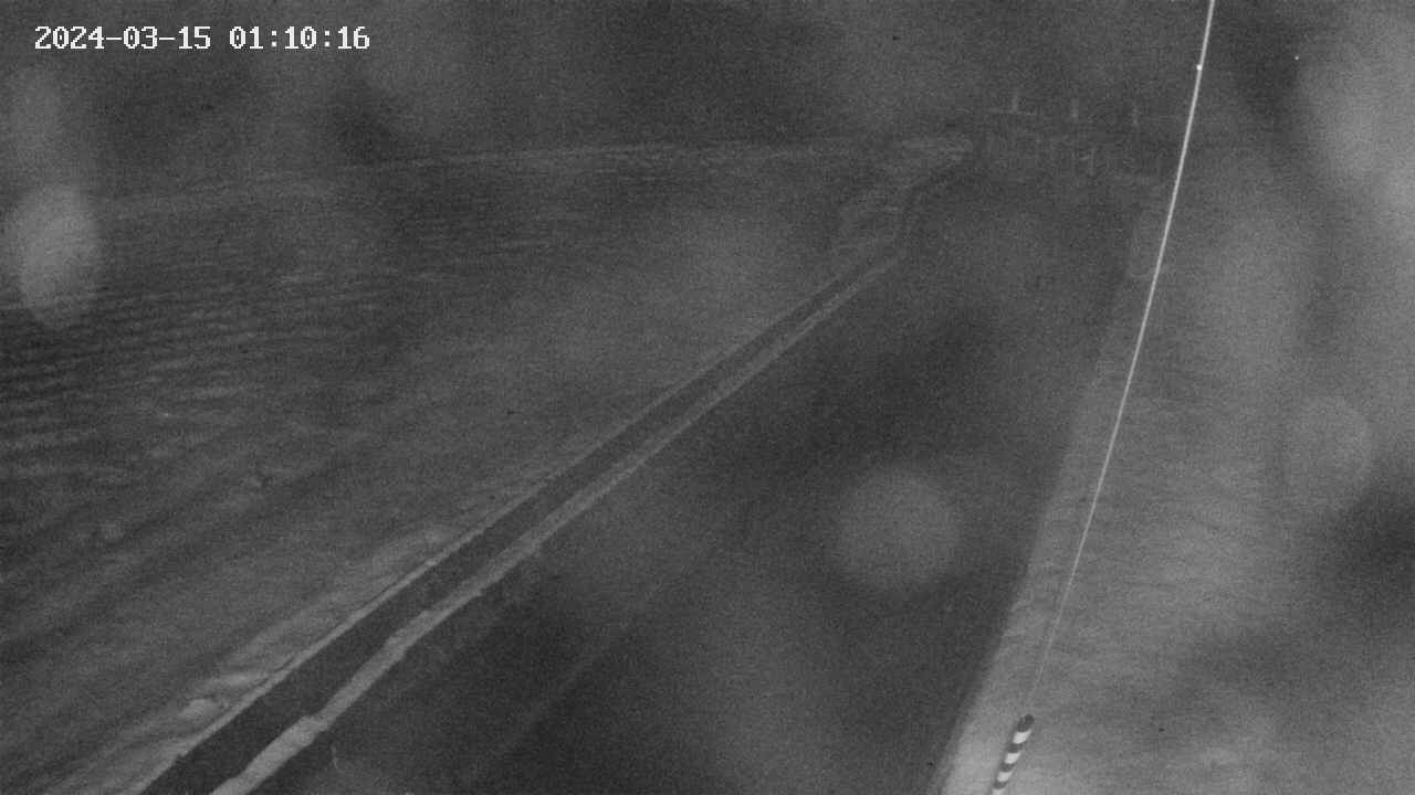 area9-20240315011017.jpg