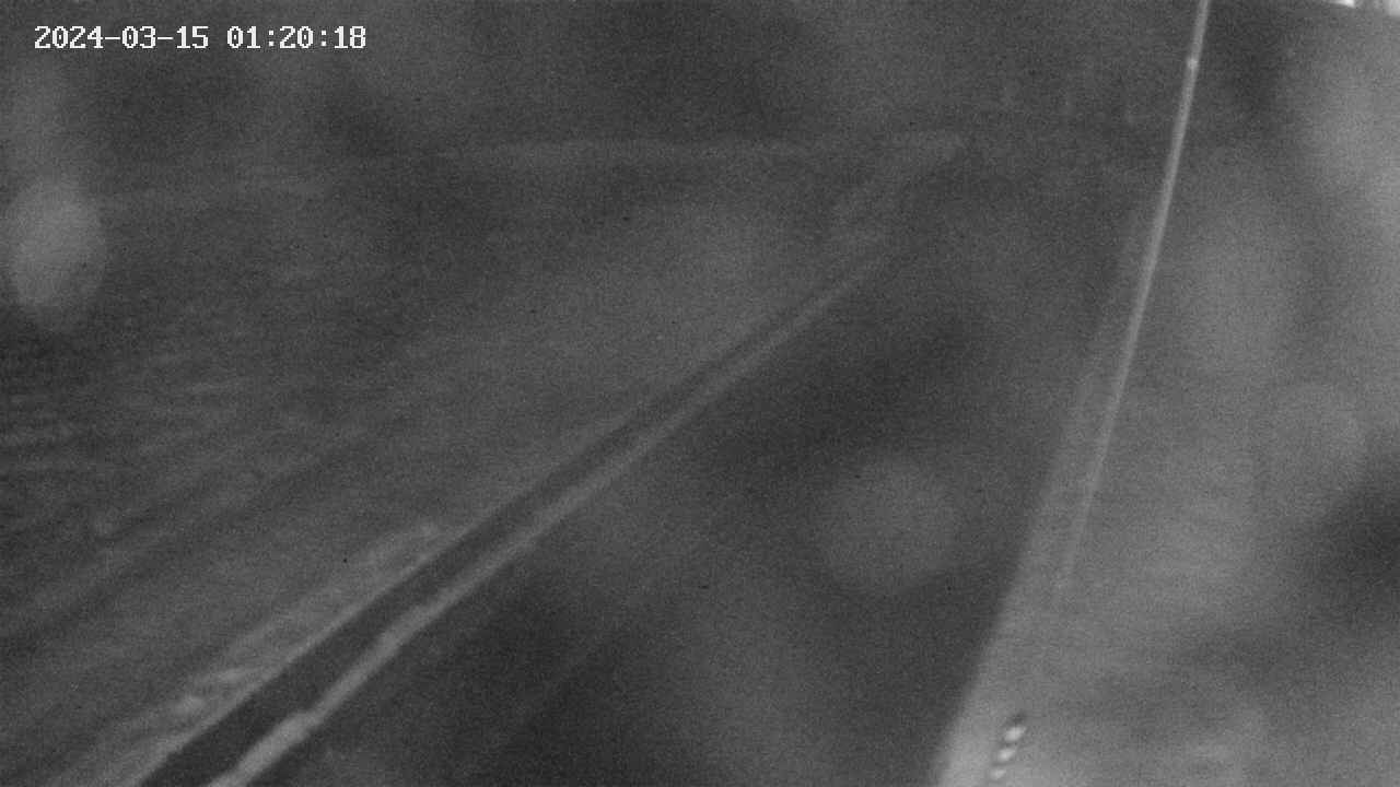 area9-20240315012019.jpg