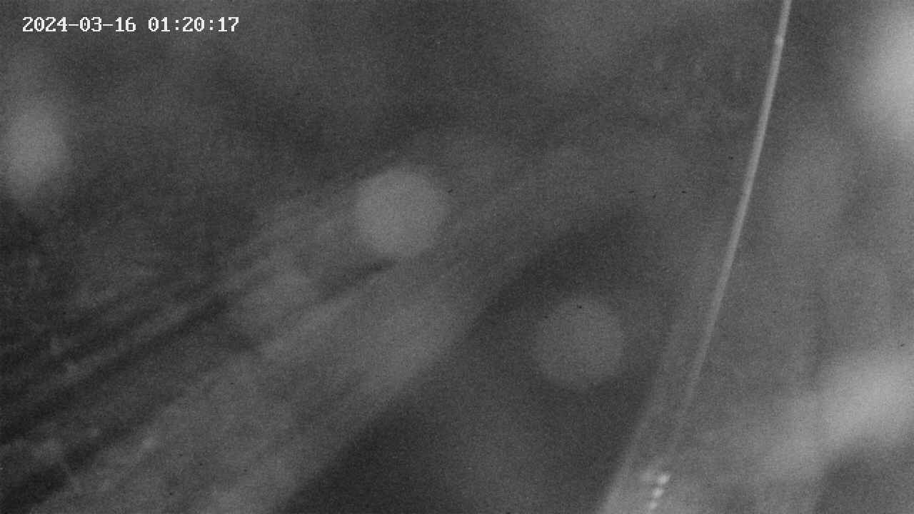 area9-20240316012018.jpg