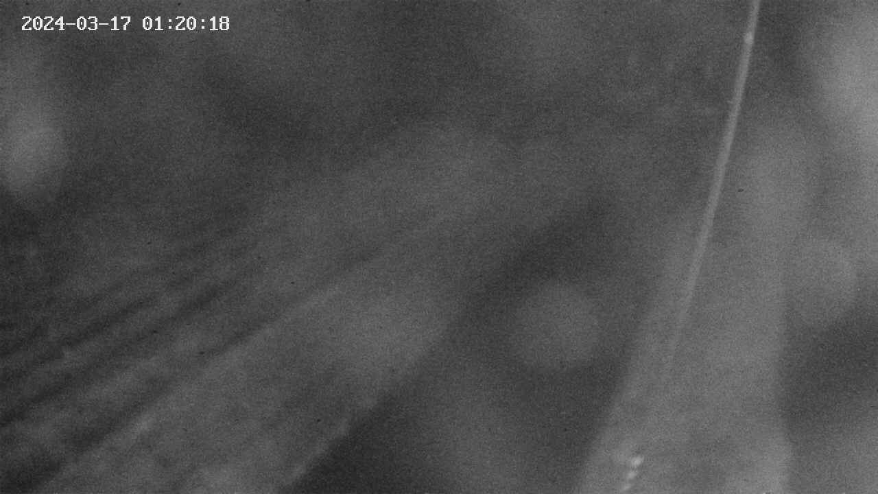 area9-20240317012019.jpg
