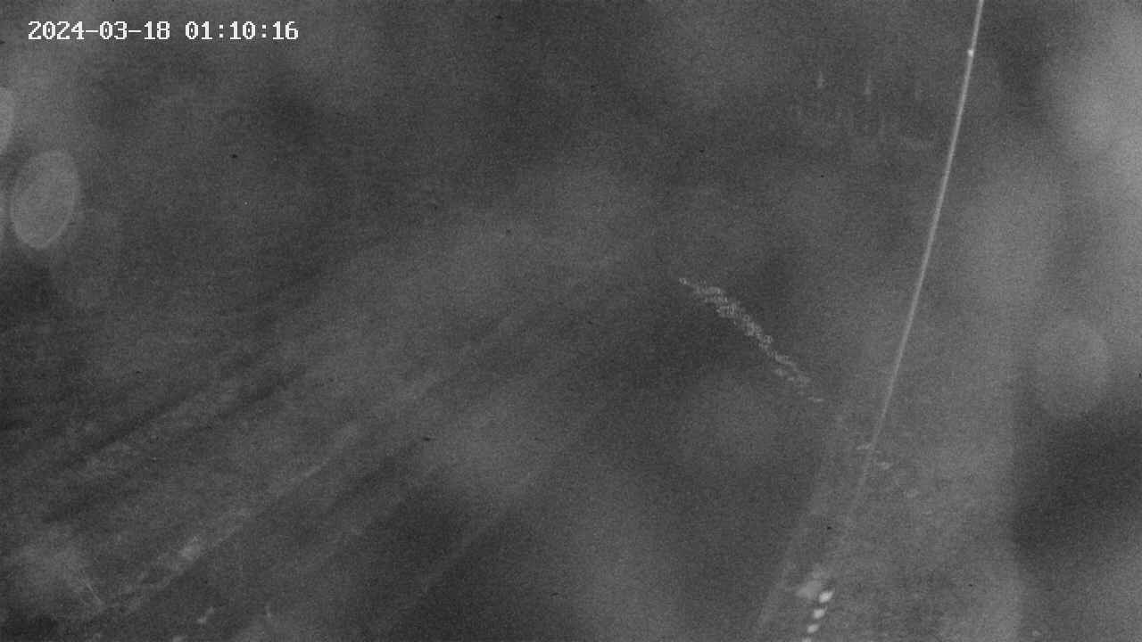 area9-20240318011018.jpg