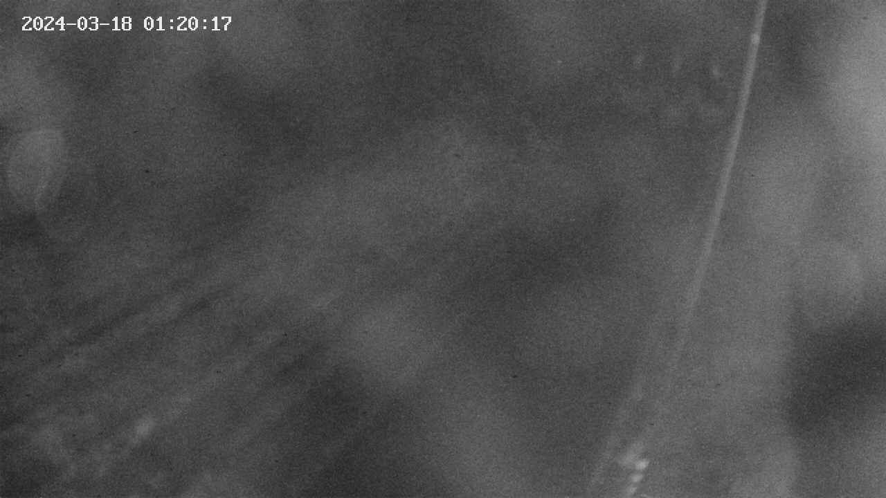 area9-20240318012018.jpg