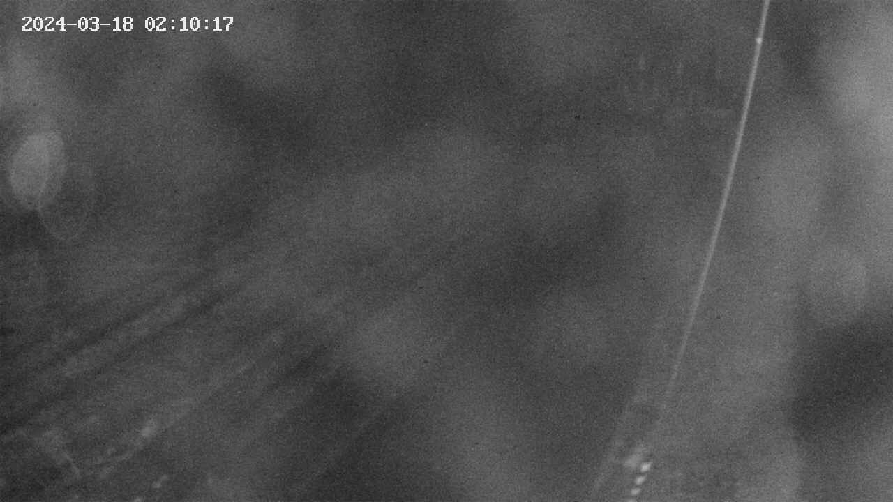 area9-20240318021018.jpg