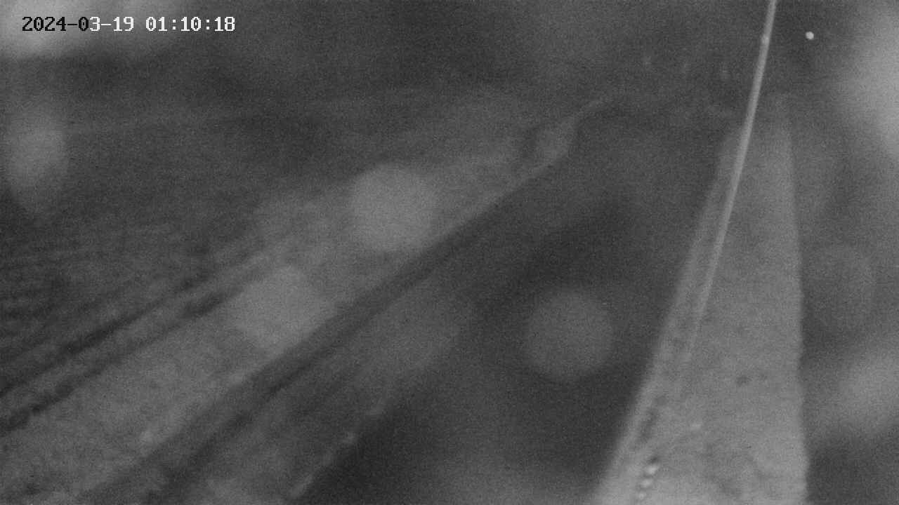 area9-20240319011018.jpg