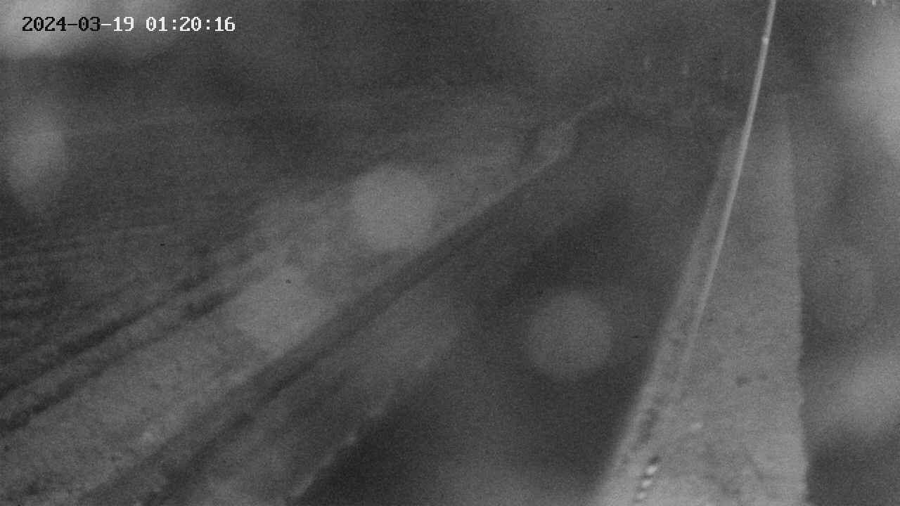 area9-20240319012017.jpg