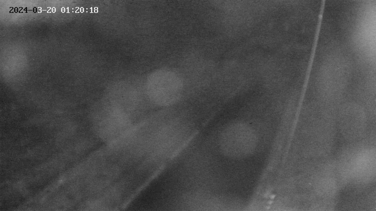 area9-20240320012018.jpg