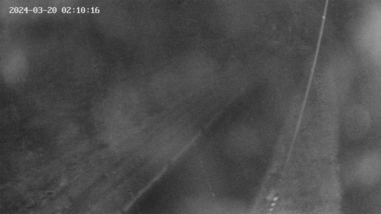 area9-20240320021017.jpg