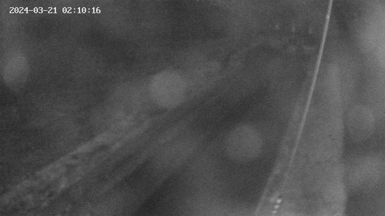 area9-20240321021017.jpg