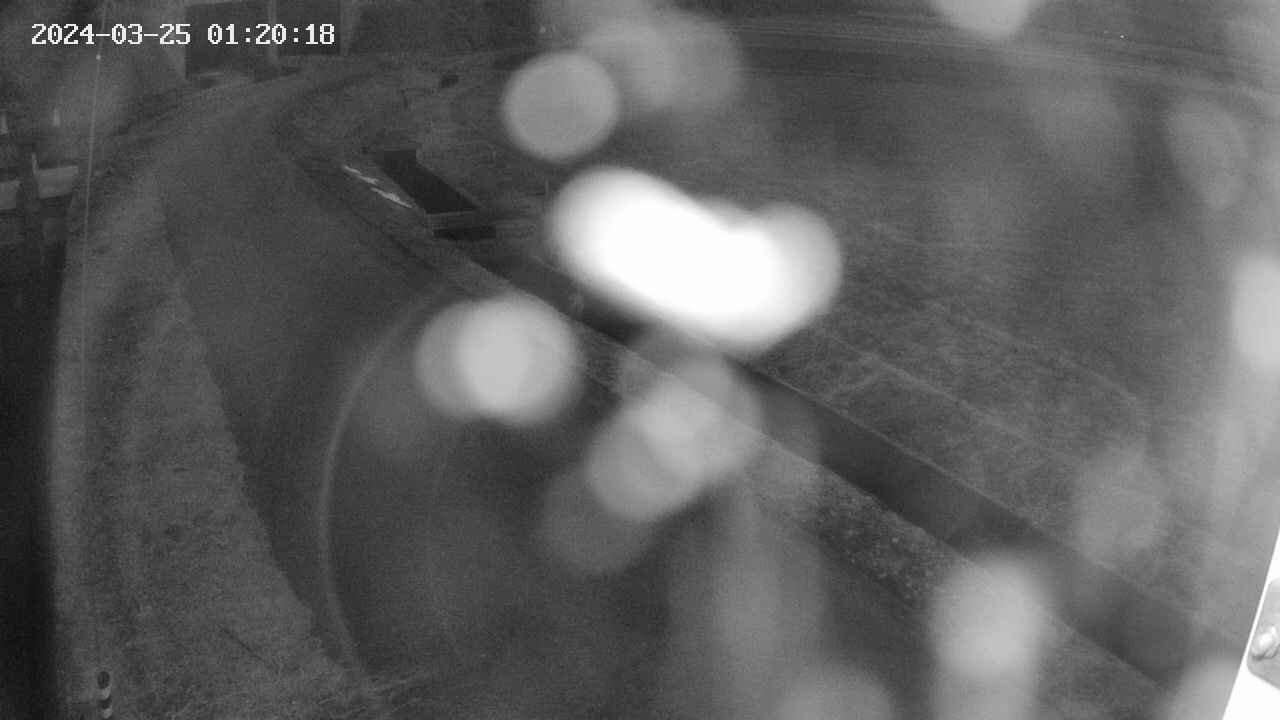 area9-20240325012018.jpg