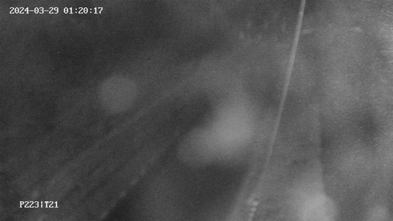 area9-20240329012018.jpg