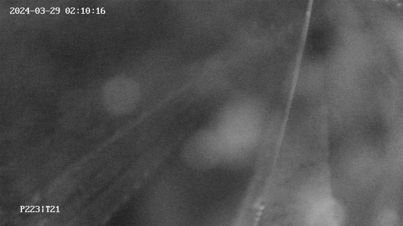 area9-20240329021017.jpg