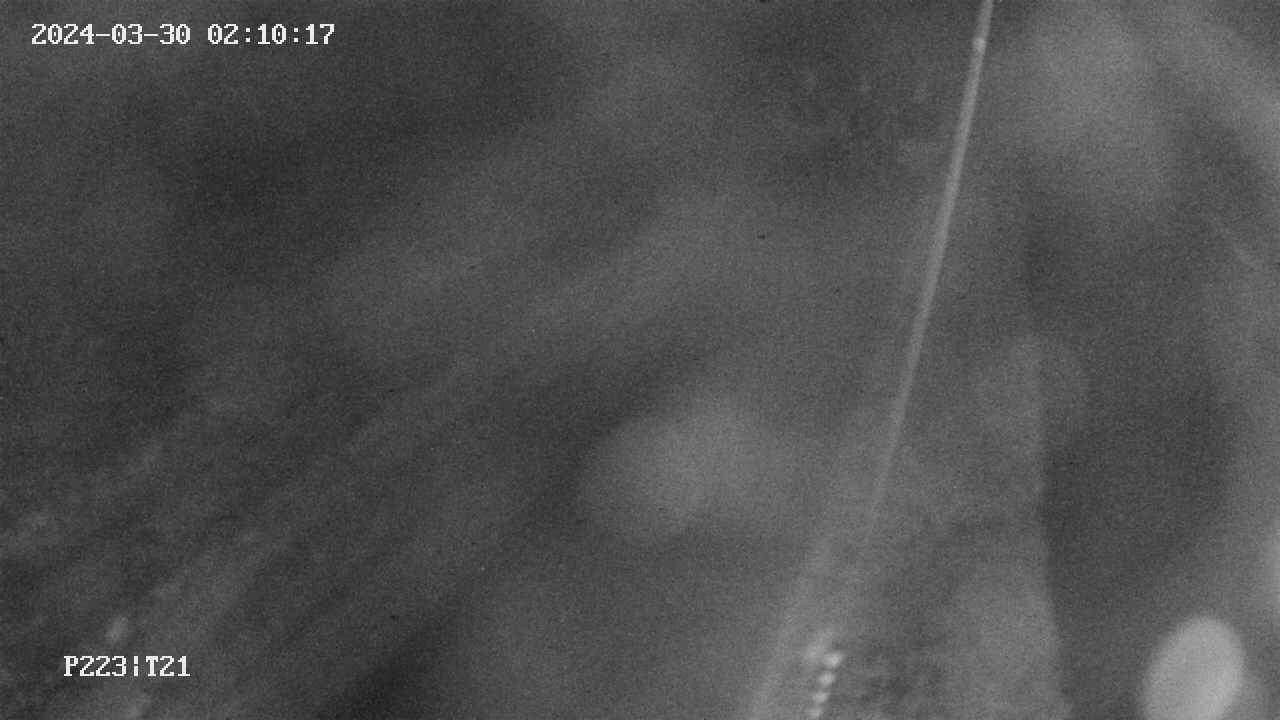 area9-20240330021018.jpg