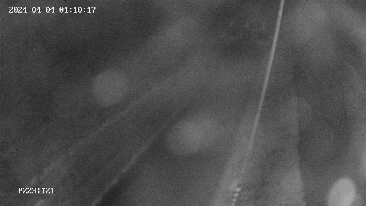 area9-20240404011018.jpg