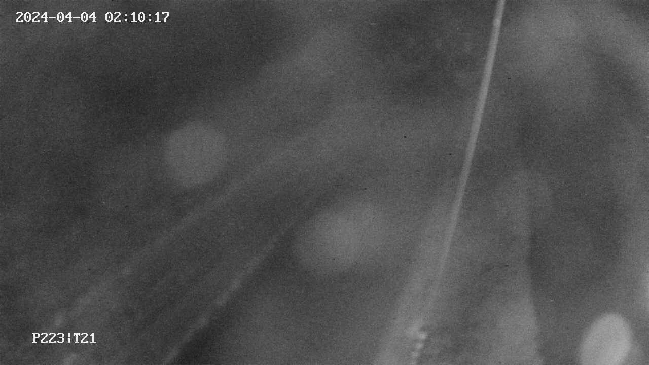 area9-20240404021018.jpg