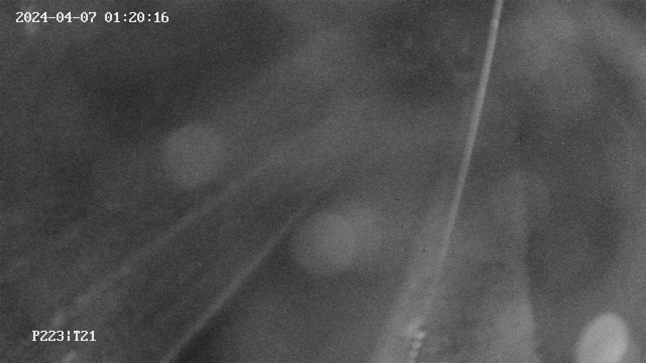 area9-20240407012017.jpg