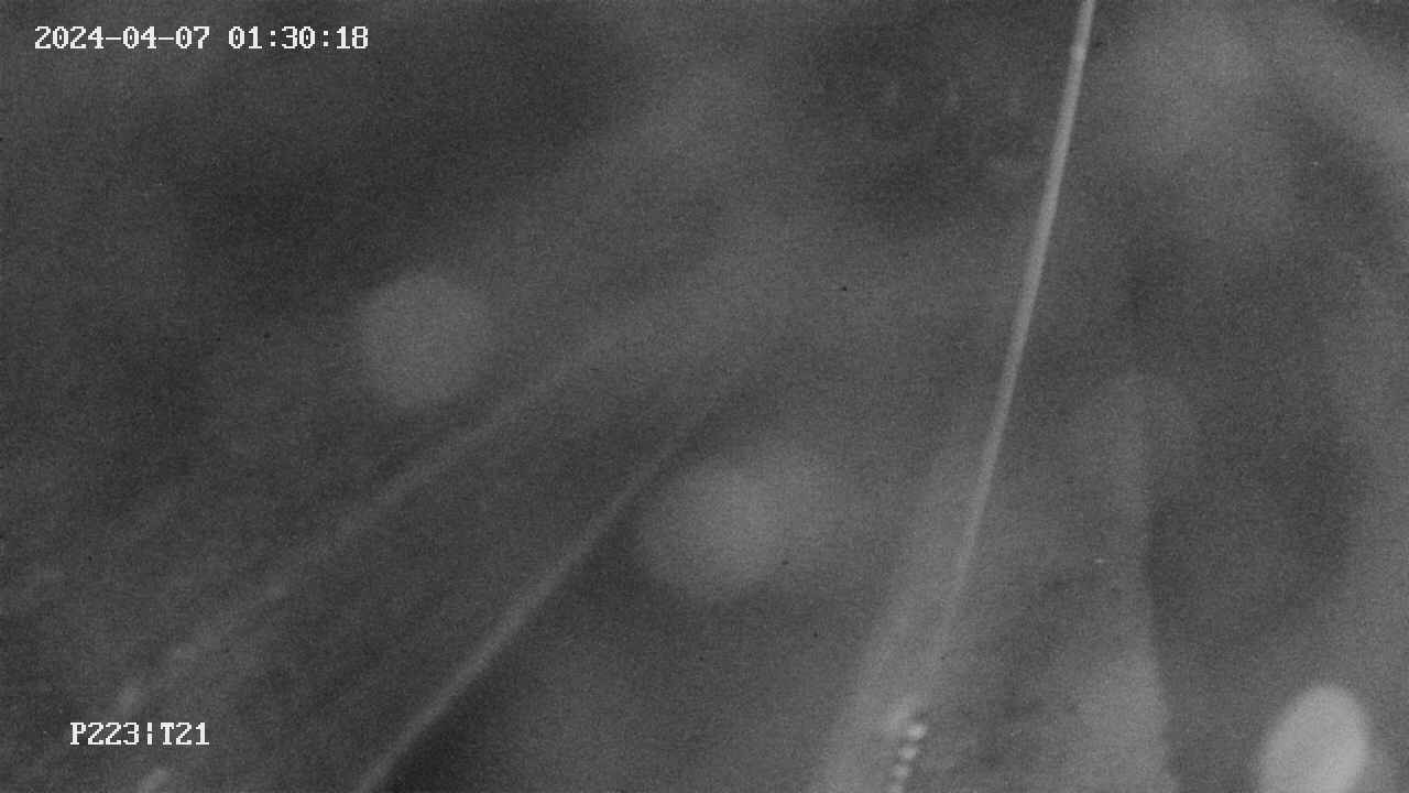 area9-20240407013019.jpg