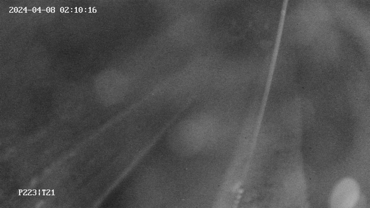 area9-20240408021017.jpg