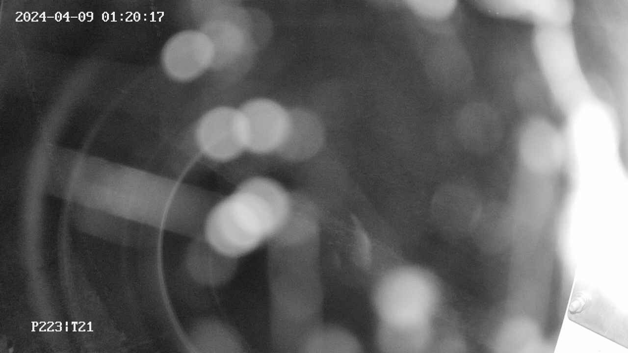 area9-20240409012018.jpg