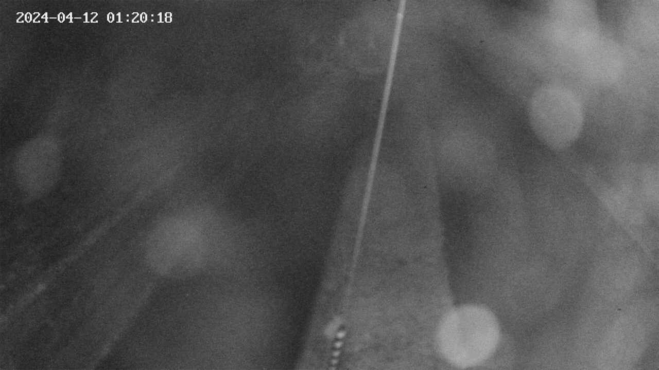area9-20240412012018.jpg