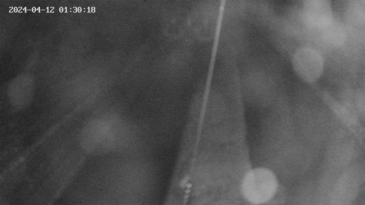 area9-20240412013018.jpg