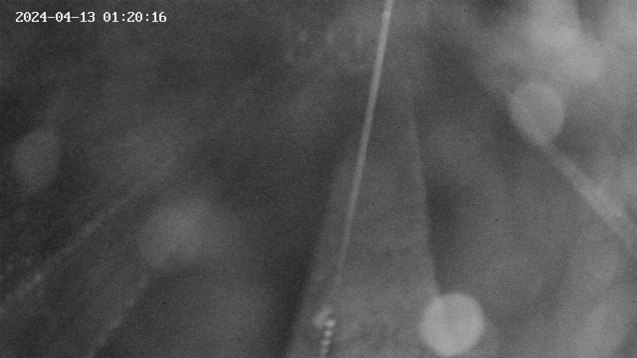 area9-20240413012017.jpg