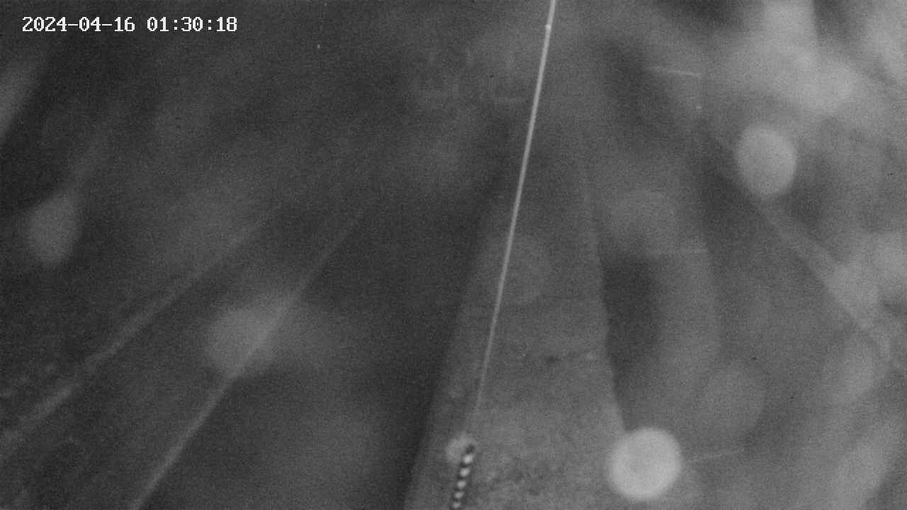 area9-20240416013018.jpg