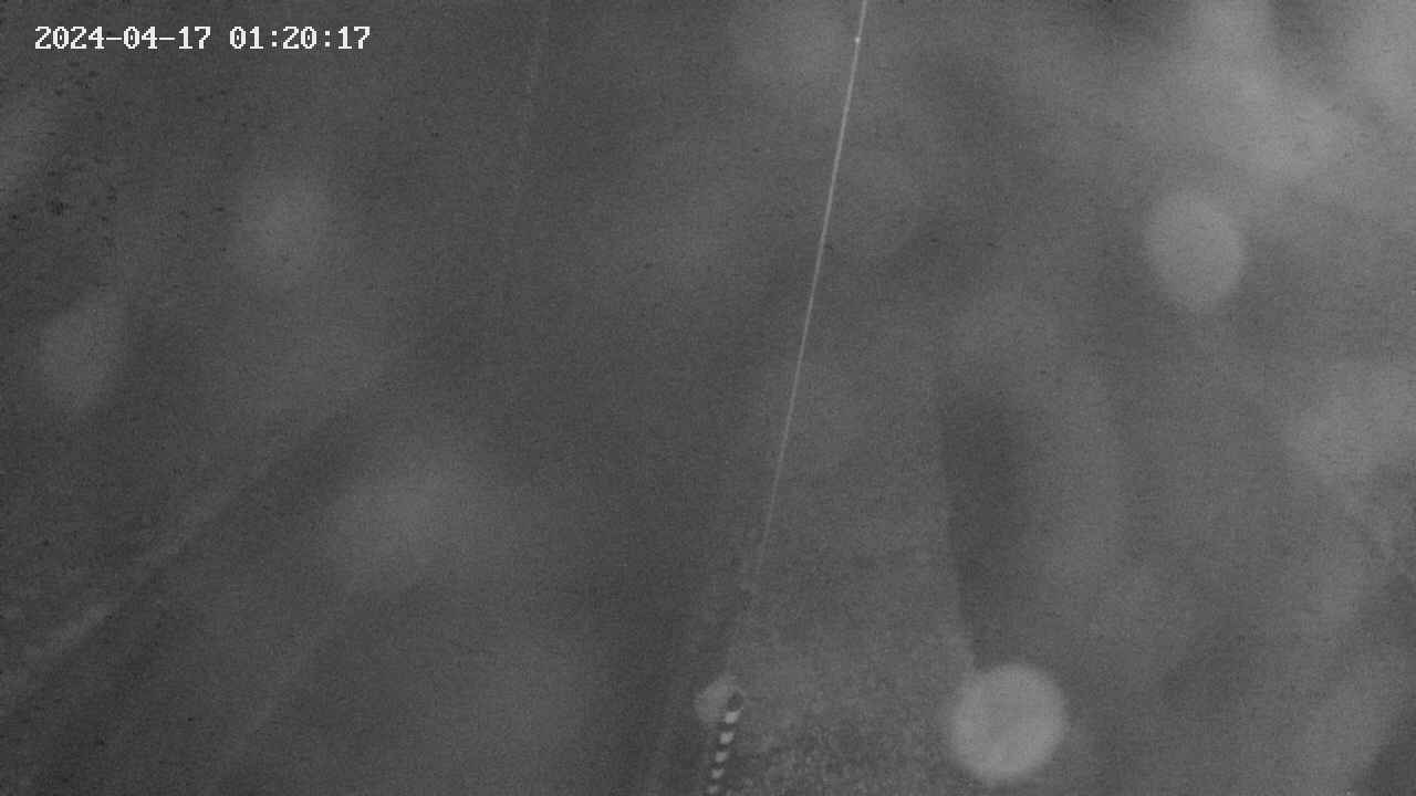 area9-20240417012018.jpg