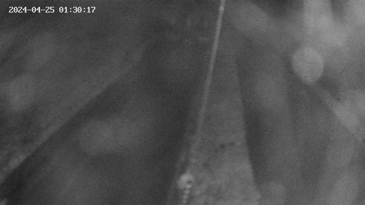area9-20240425013018.jpg