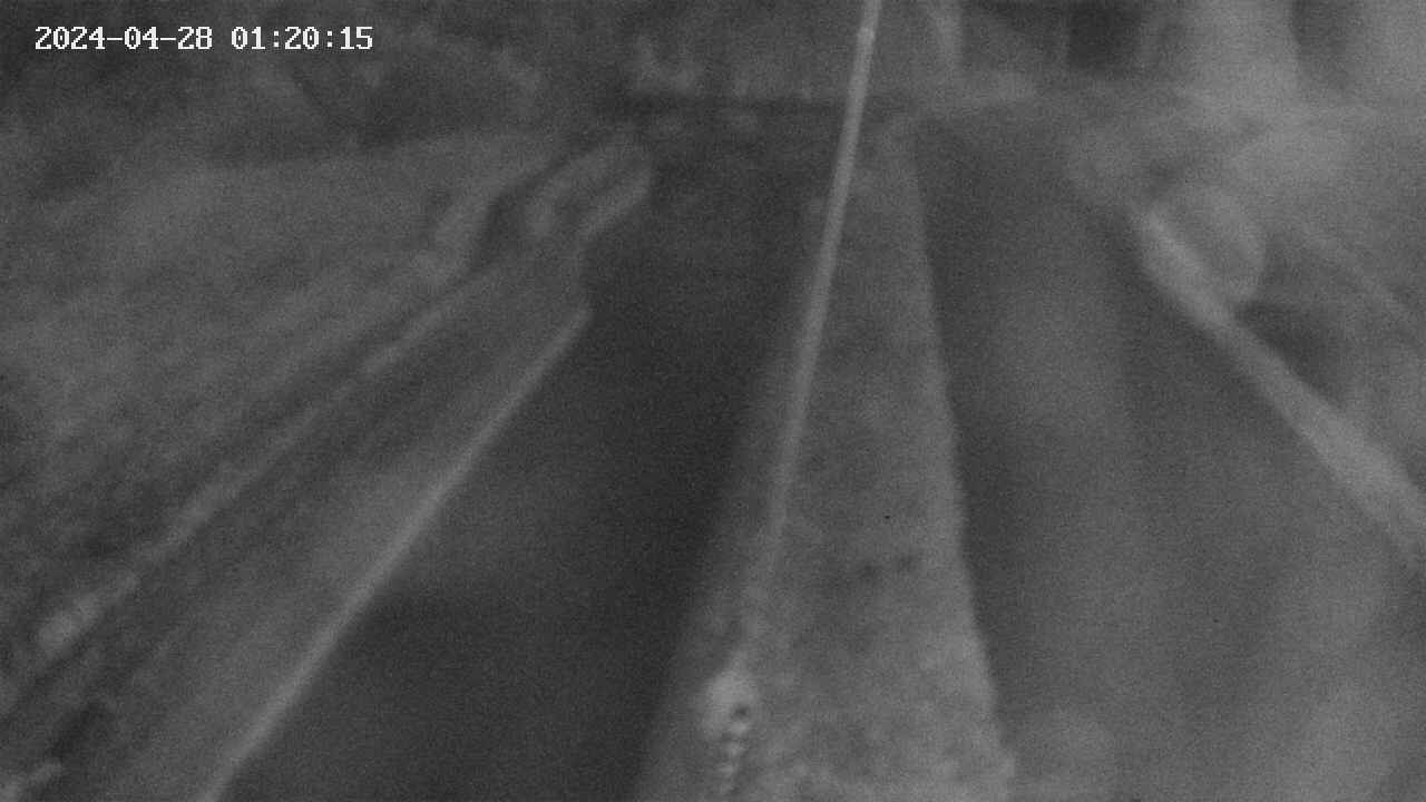 area9-20240428012017.jpg