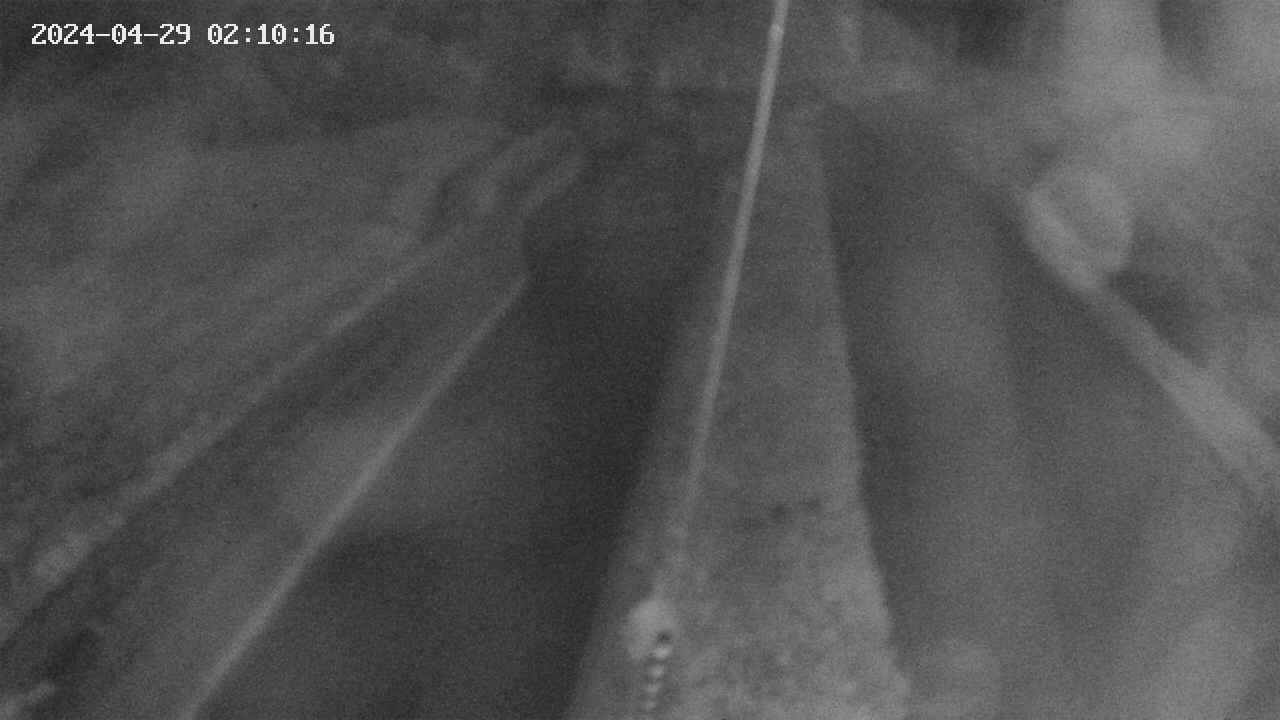 area9-20240429021018.jpg