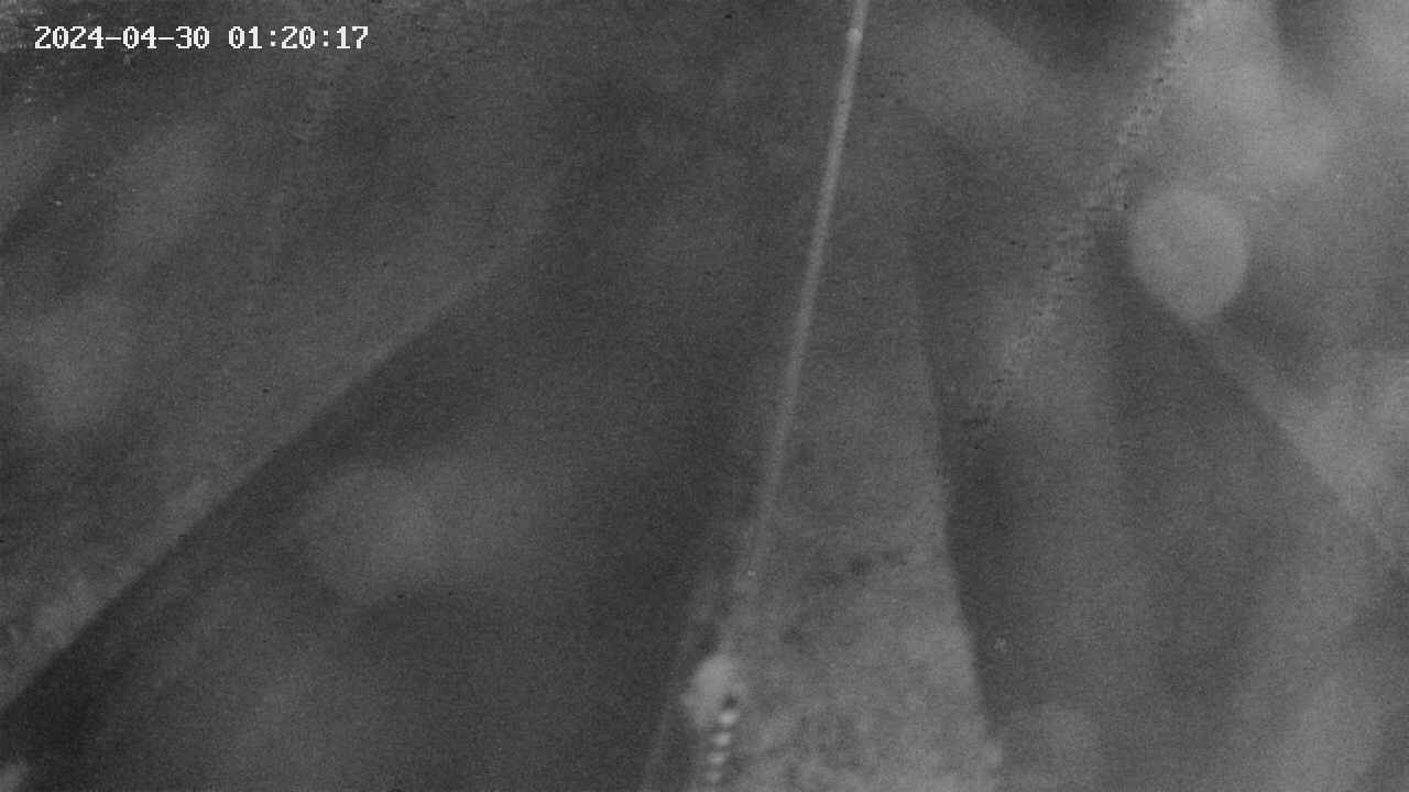area9-20240430012018.jpg