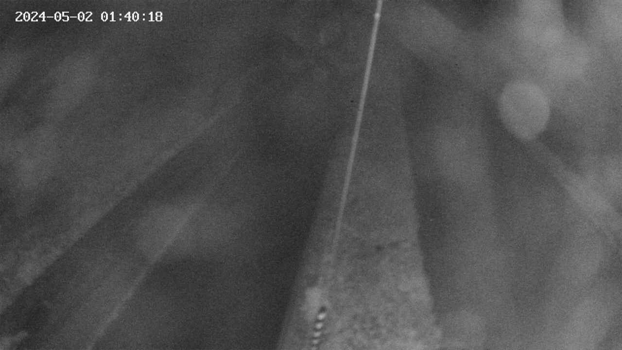 area9-20240502014018.jpg