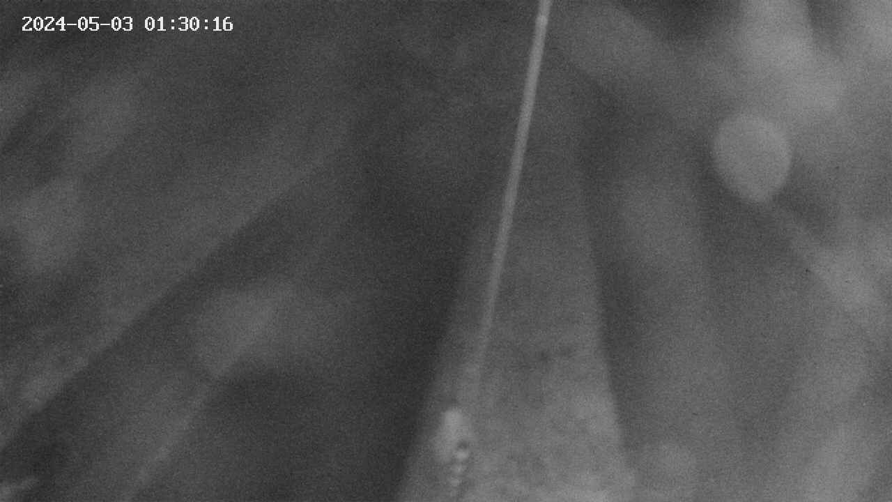 area9-20240503013017.jpg