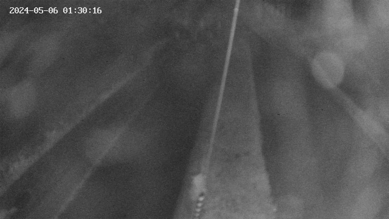 area9-20240506013017.jpg