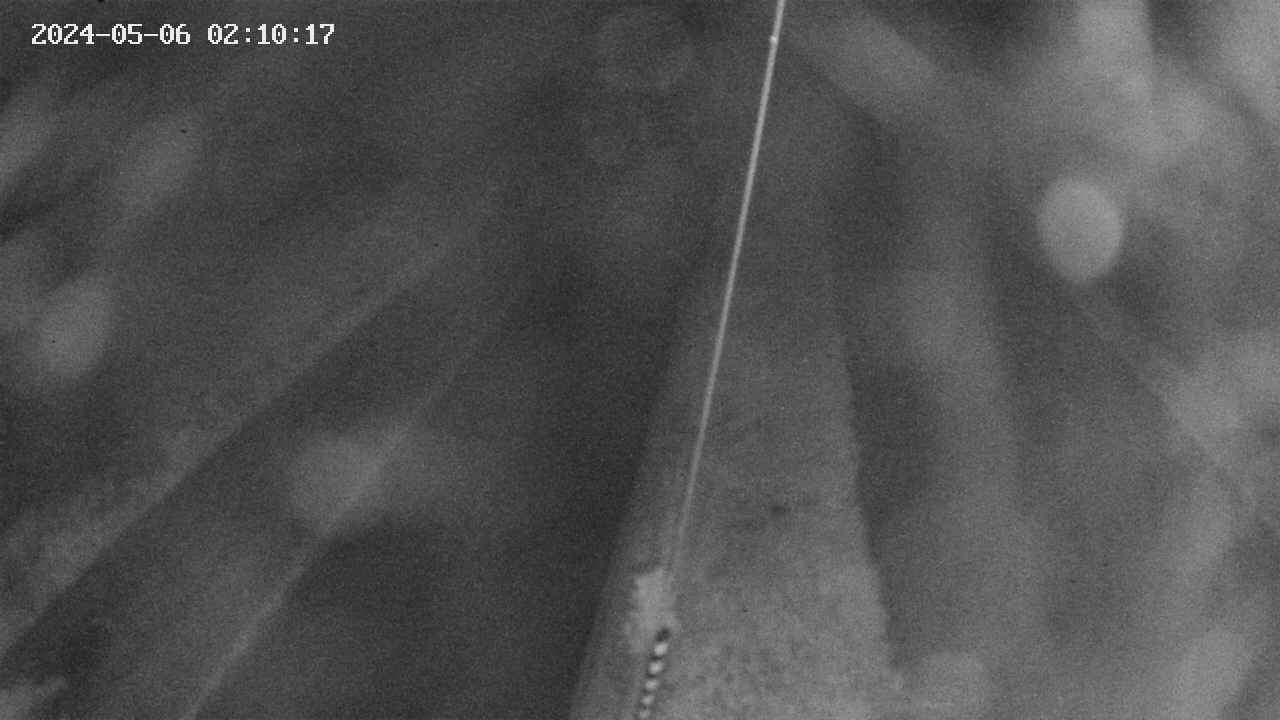 area9-20240506021019.jpg