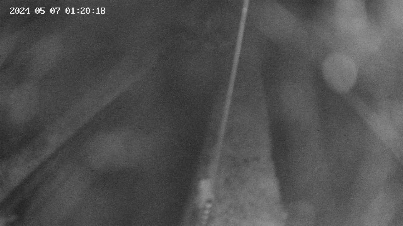 area9-20240507012019.jpg