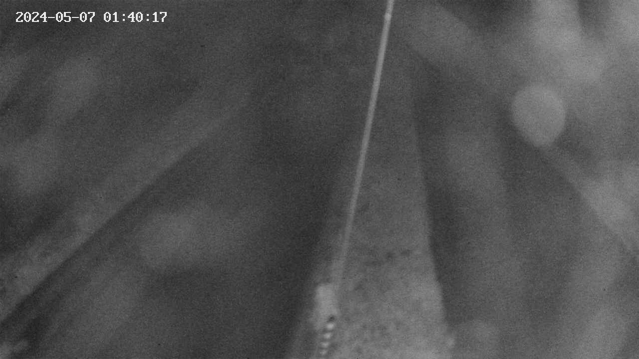 area9-20240507014018.jpg