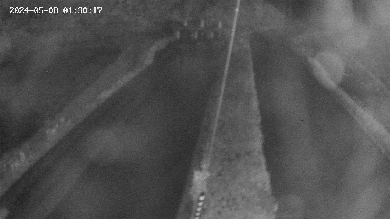 area9-20240508013018.jpg