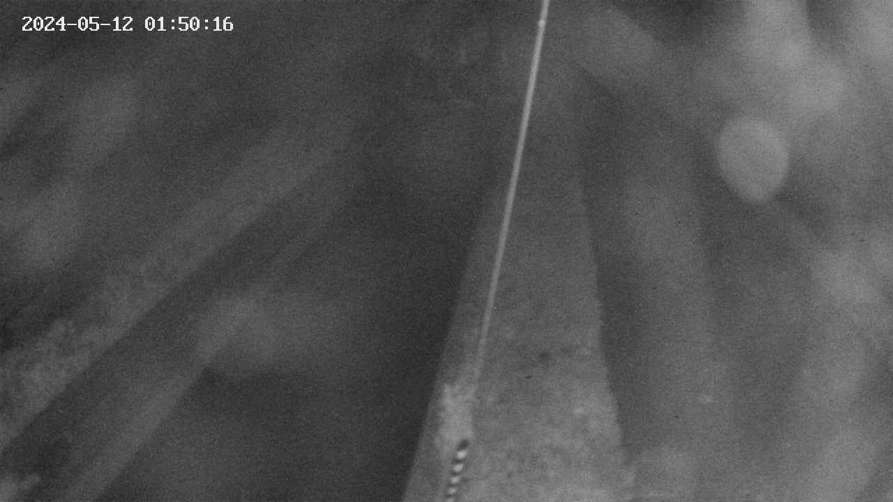 area9-20240512015017.jpg