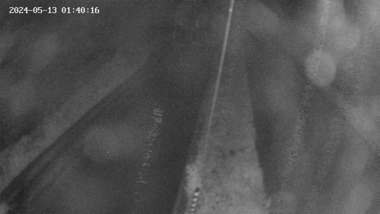 area9-20240513014017.jpg