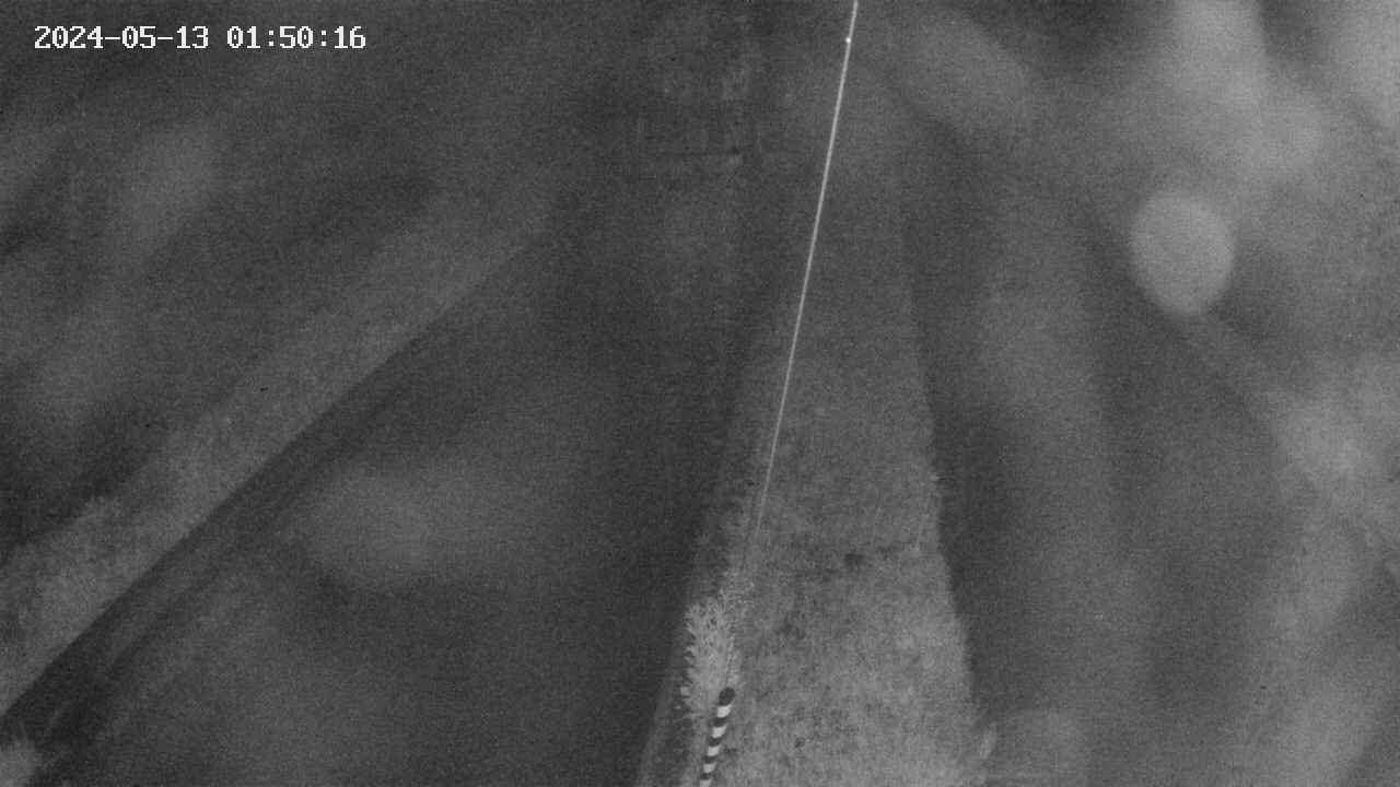 area9-20240513015017.jpg