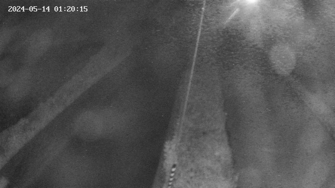 area9-20240514012017.jpg