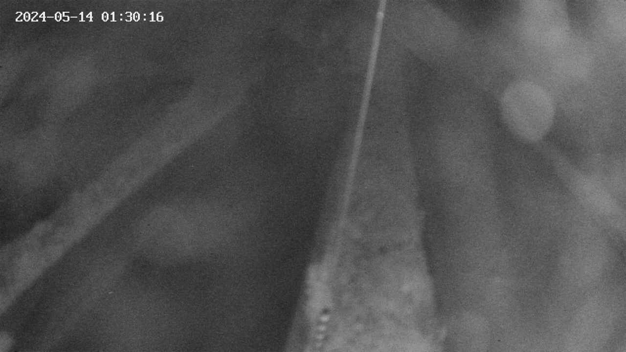 area9-20240514013018.jpg