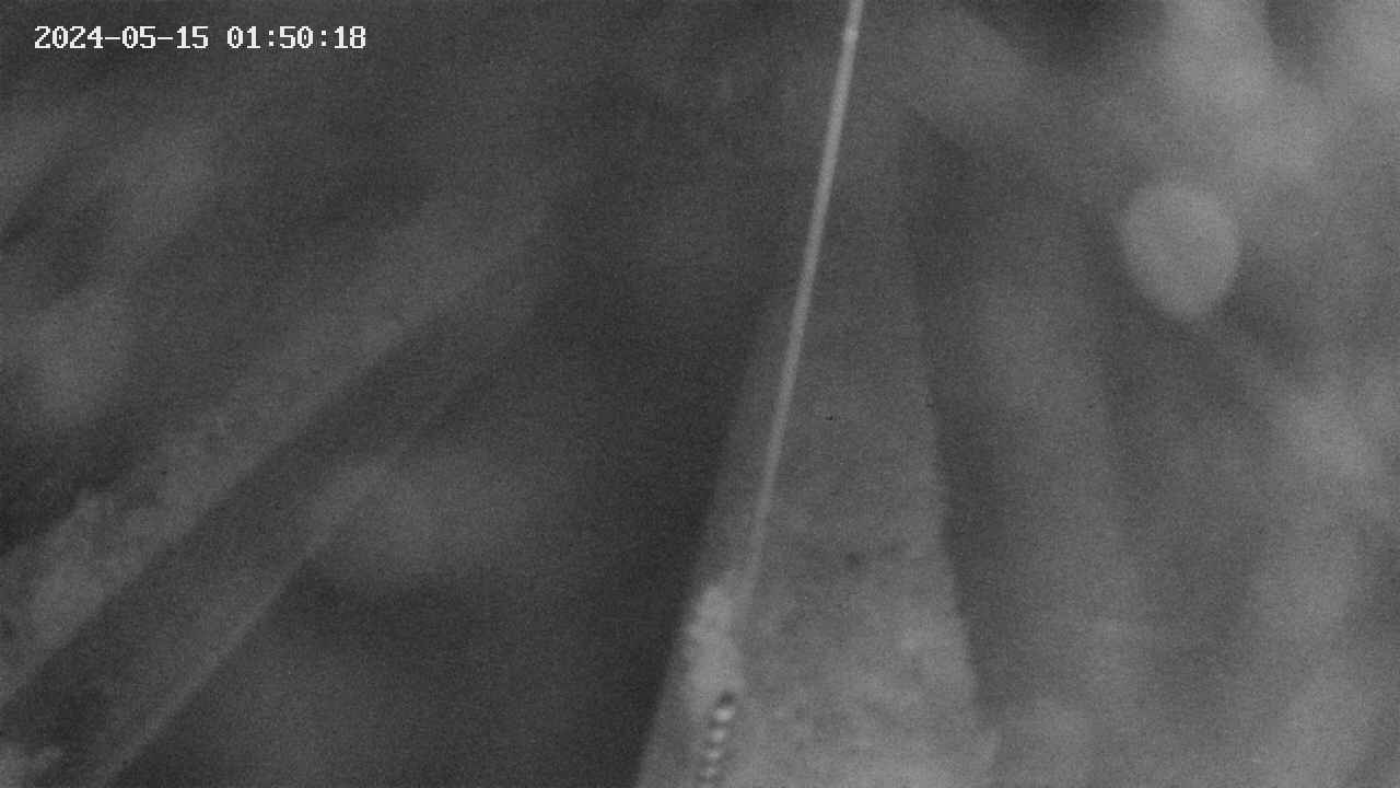 area9-20240515015019.jpg